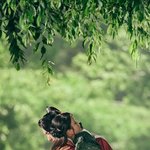 [댓글부탁해] 달의연인 <b>보보</b>경심 려 정주행 끝냈어