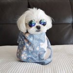 [댓글부탁해] 이명학 일리 좋아??? <b>문법</b>노베 고1임