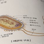 [댓글부탁해] 공공의대 <b>설립</b>은 솔직히 에바아니냐?