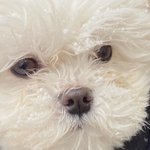 [댓글부탁해] 귀여운 우리<b>집</b> 애기