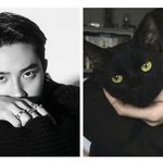 도경수의 <b>펭귄</b> 시대는 지나갔다
