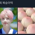 [댓글부탁해] 수능 가형 100점 받는 <b>커리</b> 알려줌