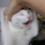 애들아 나 ㅅㅂ왜케 애새끼같냐ㅜㅠ