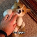 ㅠㅠ 나도 <b>포타</b> 잘쓰고싶다