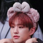 세븐틴 팬들아