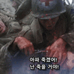 [19] 혐주의) 전쟁의 무서움.gif .라이언 일병 구하기