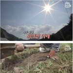 [댓글부탁해] 하반신 마비 <b>농사</b>꾼....jpg