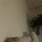 [댓글부탁해] 잘생긴 남자 <b>전학생</b>한테 다가가는 법 좀