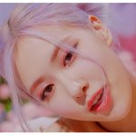 로제 개이쁜거 알아???