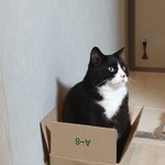 울집 고영희 보고가..(3탄 <b>조하</b>시리즈)