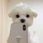 [모두드루와] <b>무대</b> 진짜 잘한다 싶은 그룹 있음?