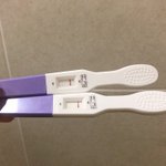 [임신] 임테기 선 좀 봐주세요