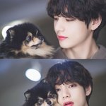 김태형 잠만 옆으로 비켜봐