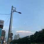 [드루와] 사랑니 빼본 사람