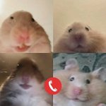[19] 남자들 여자 무슨스타일 좋아함??