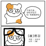 내 손톱 <b>갱생</b> 가능?