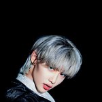 얘 진짜 얼마나 마른거냐