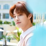 [댓글부탁해] <b>Woodz</b> 머리색들 어울림