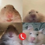 [댓글부탁해] 이 정도면 <b>노안</b> 심한거다 추반