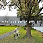 [이것좀봐줘] 때로는 걸음을 늦출 줄도 알아야 한다~