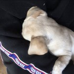 내 다리에 파묻혀서 자고잇어