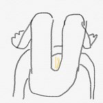 [19] 오줌 <b>물줄기</b>로 파리 쏴죽임ㅋㅋㅋ