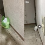 [개깊은빡침] 옆집이 <b>복도</b>에 쓰레기를 자꾸 버립니다. 도움 좀 부탁드립니다...
