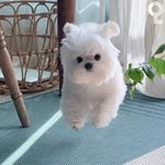 [드루와] 입술얇은애더라 자연스럽게 <b>오버</b>립하는법 알랴줌