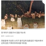 글자<b>스킬</b> 적어봄