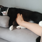 울집 고영희 보고가...(4탄 눕방)