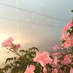 나 화장 한번도 안해봤는데 도와주라ㅠ