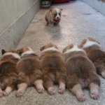 ㅈㄴ <b>확신</b>의 양아치상인데 조용한 남자애들