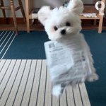 [댓글부탁해] <b>분당</b>사는칭구드라 들어와