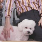 그냥 <b>각자</b> 할 얘기해