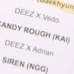 [이것좀봐줘] 백현악개 방패삼은 카이악개들 실체