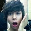 나도 내 고양이 <b>올림</b>