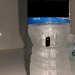 500ml 물 박스로 시켜먹는데 서비스로 반려동물 받았다