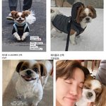 판에서 <b>주운</b> 제이홉네 강아지짤인데