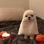 나 이제 <b>sns</b> 안하는 척 해야지