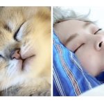 씻고 와야쥡 벽<b>반</b> 달리고<b>이</b>쏘
