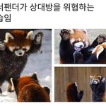 [댓글부탁해] <b>한양</b>여대 인식 어때?