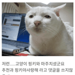 <b>순삭</b> ㄹㅇ 마지막임