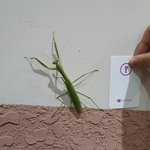 [19] 은근 커<b>여운</b> 거