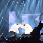 본진 <b>몸싸움</b>(?)짤 털어줘