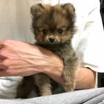 나 지금 줌 들어가는데 ㅠㅠㅠ