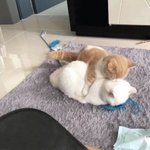 [댓글부탁해] 나 <b>송파</b>로 이사가는데