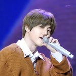 [EXO] 준면<b>이</b>는 진짜 <b>물</b> 먹은 난초같음