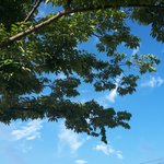 고3인데 무단<b>결석</b>함