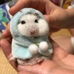 너네 손<b>절친</b> 친구 있음?