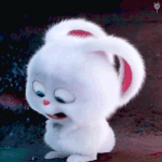 <b>수험</b>생 선물로